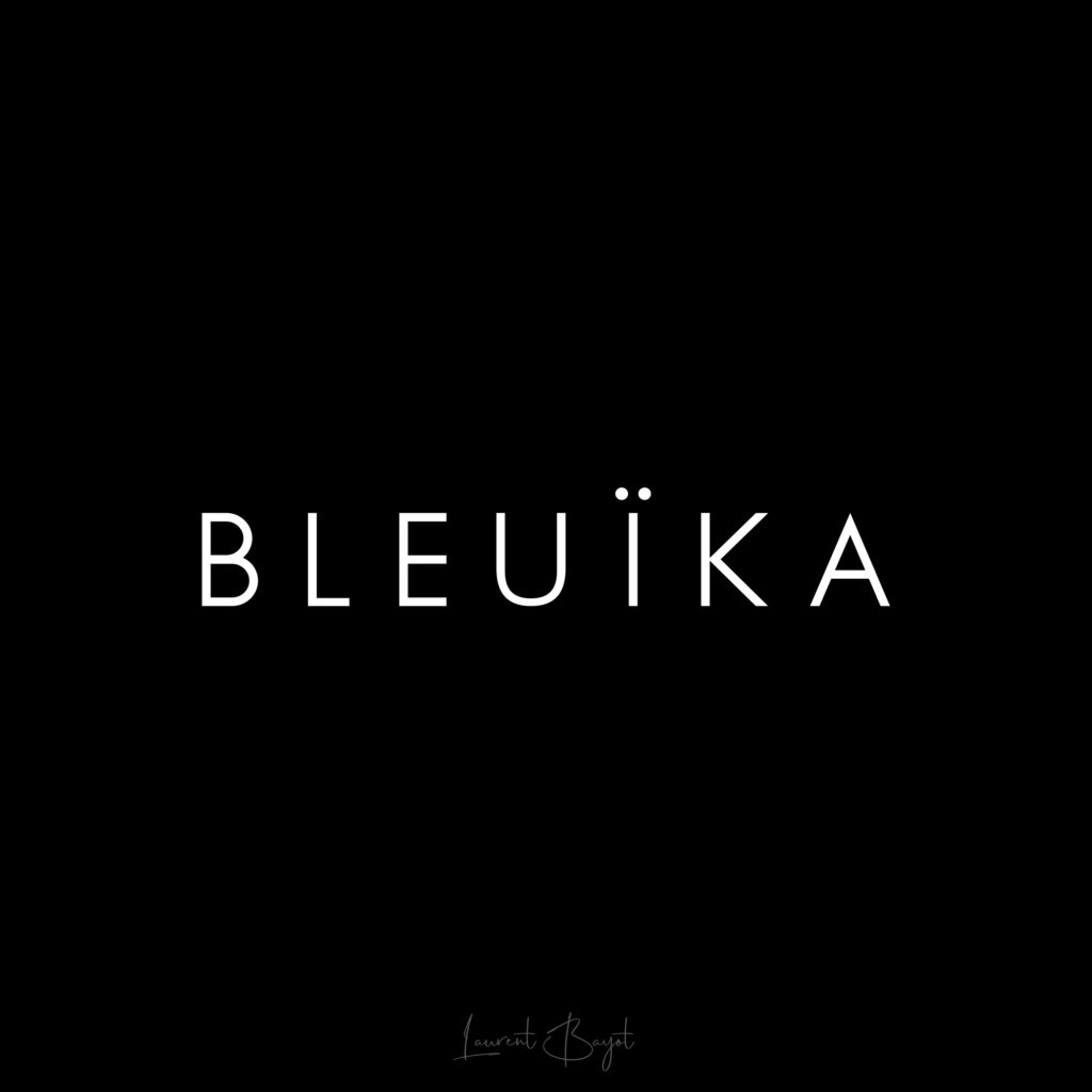 logo bleuika blanc noir